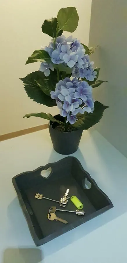Apartamento Campo De Fiori House Roma Italia